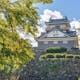 【口コミあり】福井でおすすめの人気結婚相談所ランキング!料金・コースを徹底比較