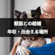 獣医との結婚は難関!結婚相手として人気の理由と出会える場所