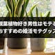 観葉植物好きの男性は婚活でモテる!結婚できない人におすすめの婚活モテグッズ